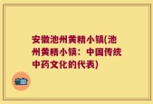 安徽池州黄精小镇(池州黄精小镇：中国传统中药文化的代表)
