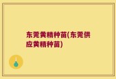 东莞黄精种苗(东莞供应黄精种苗)