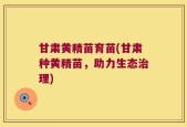甘肃黄精苗育苗(甘肃种黄精苗，助力生态治理)