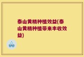 泰山黄精种植效益(泰山黄精种植带来丰收效益)