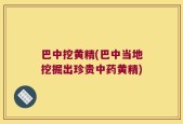 巴中挖黄精(巴中当地挖掘出珍贵中药黄精)