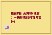 独苗的什么黄精(独苗：一株珍贵的何首乌变种)