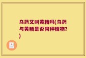 乌药又叫黄精吗(乌药与黄精是否同种植物？)