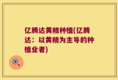 亿腾达黄精种植(亿腾达：以黄精为主导的种植业者)