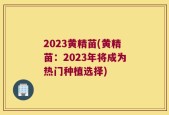 2023黄精苗(黄精苗：2023年将成为热门种植选择)