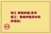 榕江 黄精种植(贵州榕江：黄精种植带动农民增收)