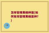 怎样管理黄精种苗(如何有效管理黄精苗种？)