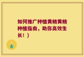 如何推广种植黄精黄精种植指南，助你高效生长！)