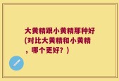 大黄精跟小黄精那种好(对比大黄精和小黄精，哪个更好？)