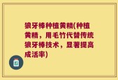 狼牙棒种植黄精(种植黄精，用毛竹代替传统狼牙棒技术，显著提高成活率)
