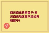 四川南充黄精苗子(四川南充地区受欢迎的黄精苗子)