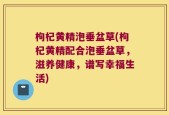 枸杞黄精泡垂盆草(枸杞黄精配合泡垂盆草，滋养健康，谱写幸福生活)