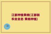 江都种植黄精(江都新农业业态 黄精种植)