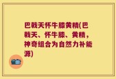 巴戟天怀牛膝黄精(巴戟天、怀牛膝、黄精，神奇组合为自然力补能源)