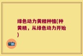绿色动力黄精种植(种黄精，从绿色动力开始)