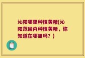 沁阳哪里种植黄精(沁阳范围内种植黄精，你知道在哪里吗？)