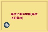 桑树上都有黄精(桑树上的黄精)