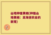 山地种植黄精(种植山地黄精：高海拔农业的新宠)