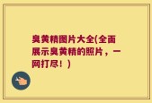 臭黄精图片大全(全面展示臭黄精的照片，一网打尽！)