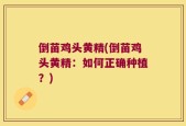 倒苗鸡头黄精(倒苗鸡头黄精：如何正确种植？)