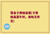 覆盘子黄精桑葚(子黄精桑葚牛奶，美味又养生)