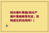四川细叶黄精(四川产细叶黄精颇受欢迎，你知道它的功效吗？)