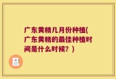 广东黄精几月份种植(广东黄精的最佳种植时间是什么时候？)