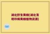 湖北野生黄精(湖北发现珍稀黄精植物资源)