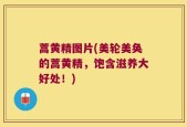 蒿黄精图片(美轮美奂的蒿黄精，饱含滋养大好处！)