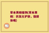 草本黄精植物(草本黄精：抗氧化护肤，强健体魄)