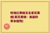 玫瑰红黄精又名紫花黄精(紫花黄精：美丽的草本植物)