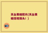 天台黄精照片(天台黄精惊现镜头！)