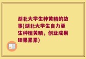 湖北大学生种黄精的故事(湖北大学生自力更生种植黄精，创业成果硕果累累)