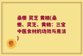 桑椹 灵芝 黄精(桑椹、灵芝、黄精：三宝中医食材的功效与用法)