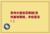 贵州大量收获黄精(贵州遍地黄精，丰收喜讯！)