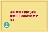 深山黄精王图片(深山黄精王：珍稀的药材之王)