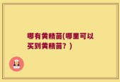 哪有黄精苗(哪里可以买到黄精苗？)
