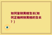 如何鉴别黄精生长(如何正确辨别黄精的生长？)