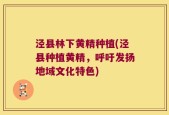 泾县林下黄精种植(泾县种植黄精，呼吁发扬地域文化特色)
