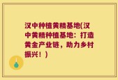 汉中种植黄精基地(汉中黄精种植基地：打造黄金产业链，助力乡村振兴！)