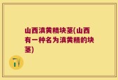 山西滇黄精块茎(山西有一种名为滇黄精的块茎)
