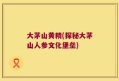大茅山黄精(探秘大茅山人参文化堡垒)