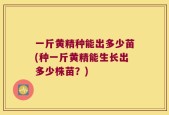 一斤黄精种能出多少苗(种一斤黄精能生长出多少株苗？)