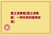 墨江滇黄精(墨江滇黄精：一种珍贵的植物资源)