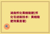 湖南怀化黄精施肥(怀化引进新技术：黄精施肥效果显著)