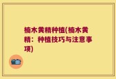 楠木黄精种植(楠木黄精：种植技巧与注意事项)