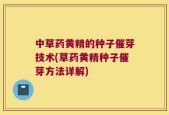 中草药黄精的种子催芽技术(草药黄精种子催芽方法详解)