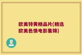 欧美特黄精品片(精选欧美色情电影集锦)