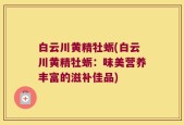 白云川黄精牡蛎(白云川黄精牡蛎：味美营养丰富的滋补佳品)