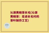 沁源黄精茶长毛(沁源黄精茶：走进长毛村的茶叶制作工艺)